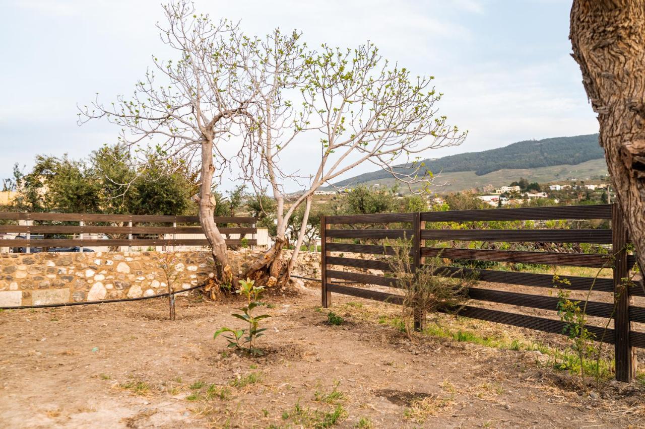 Paradisi Stone House Кос Экстерьер фото